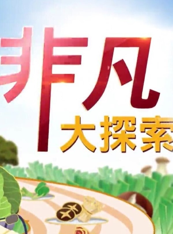 【空姐の恩赐】麻衣空姐！颤抖的淫美肉体！ - NO视频