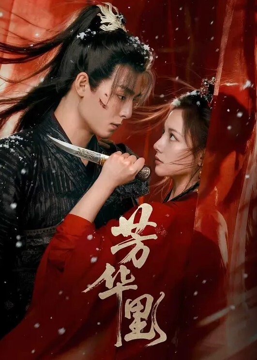 两只马尾辫气质美女2 - NO视频